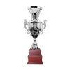 Copa CAS 100 - Imagen 3