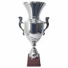 Copa CAS 100 - Imagen 2